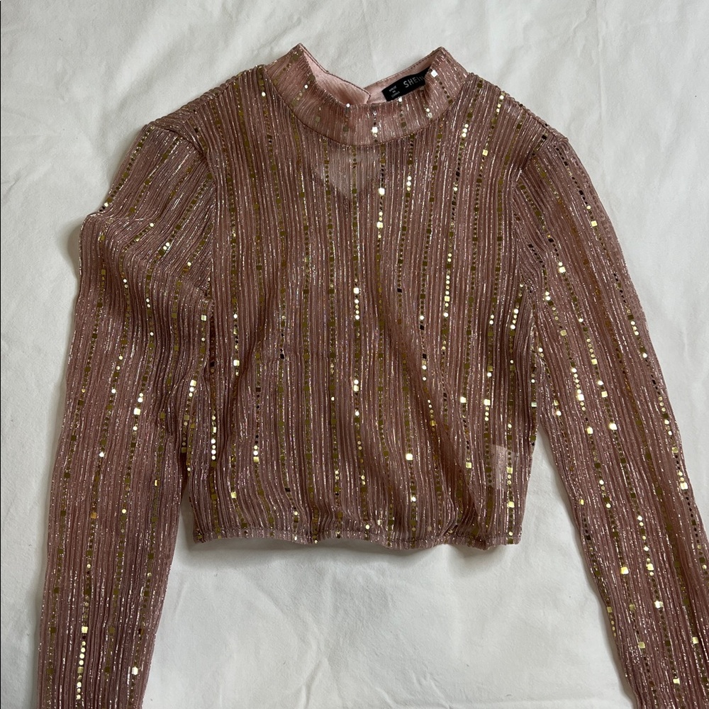 Sheer Pink and Gold Sequin Top